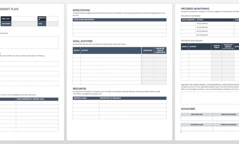 Performance Improvement Plan